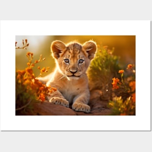 Lion Cub Wild Animal Tranquil Peaceful Posters and Art